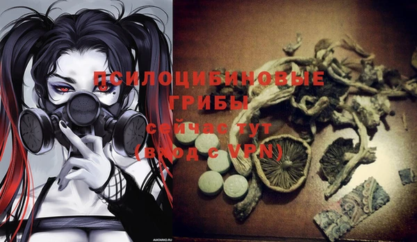 альфа пвп Богородицк