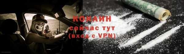 гашик Бородино