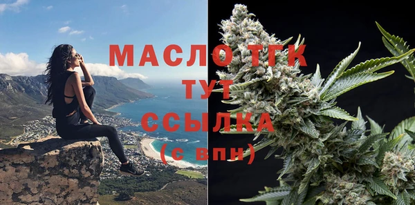 гашик Богородск