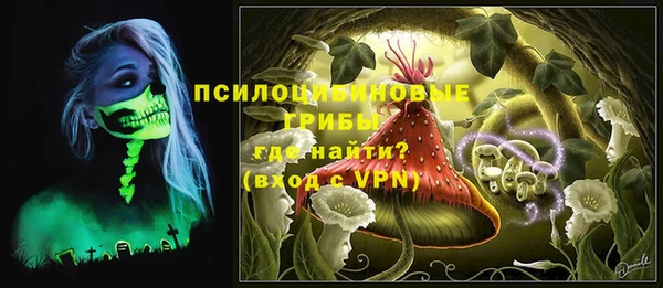 2c-b Богданович