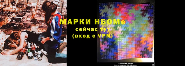 гашик Богородск